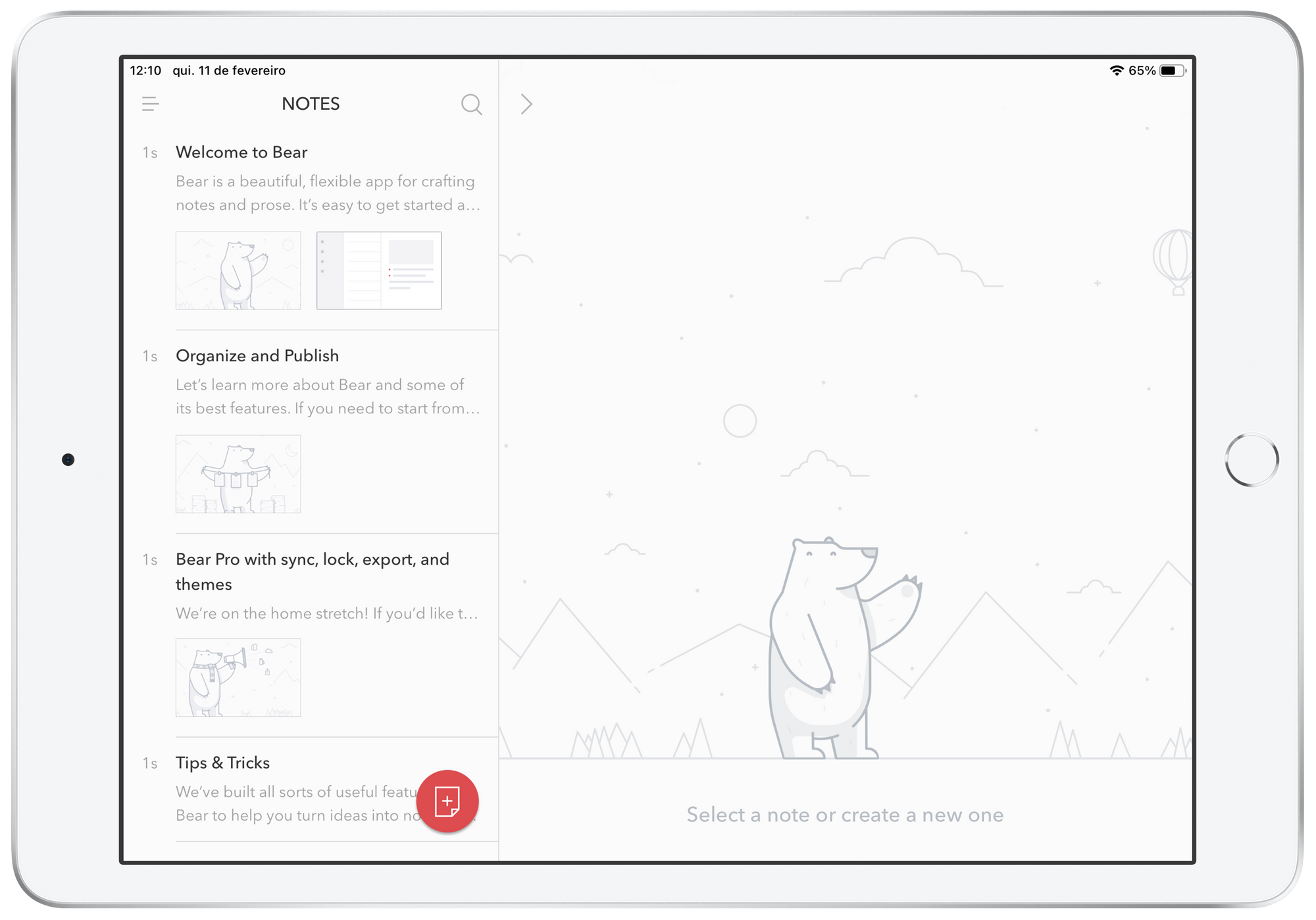 Bear no iPad