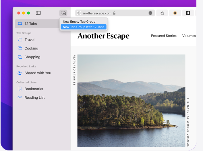 Grupos de Separadores no Safari no macOS Monterey