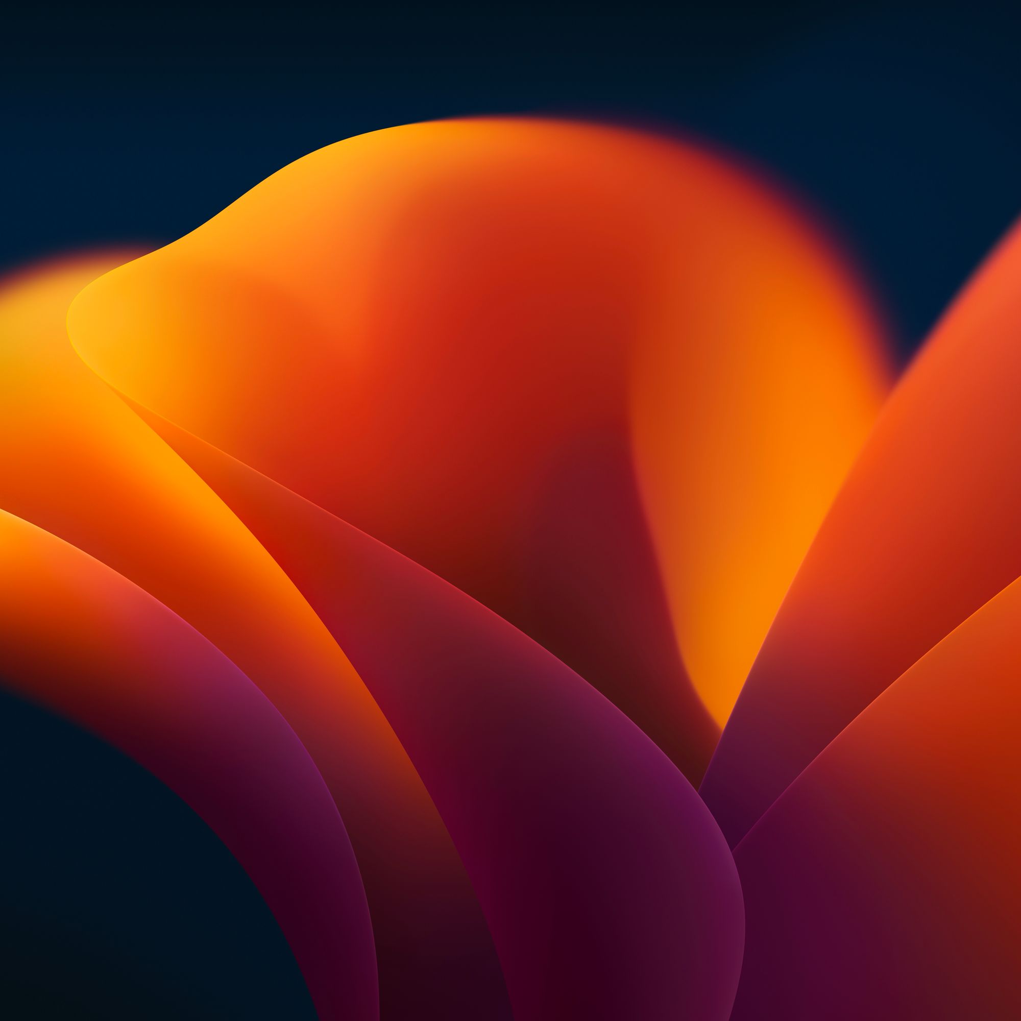 My Image 7