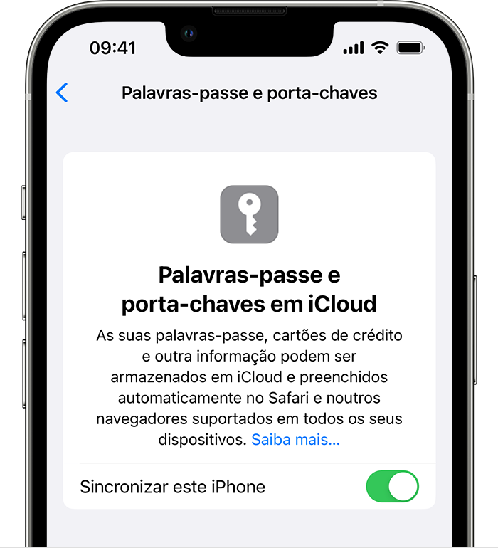 Captura de ecrã do Porta-chaves iCloud.