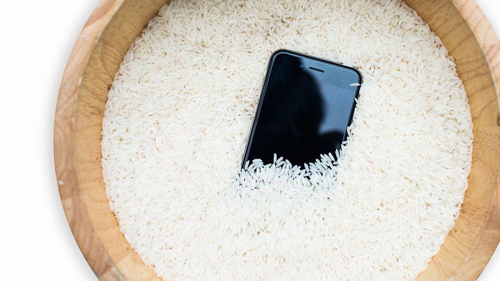 Pôr o iPhone em arroz? A Apple não aconselha... post image