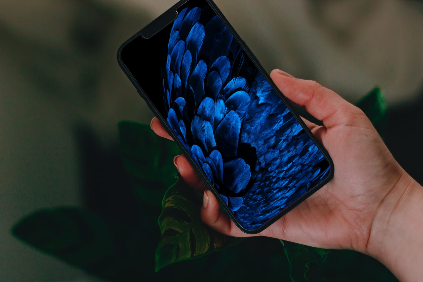 Wallpapers novos para o teu iPhone todas as sextas! (edição de 17 de fevereiro)