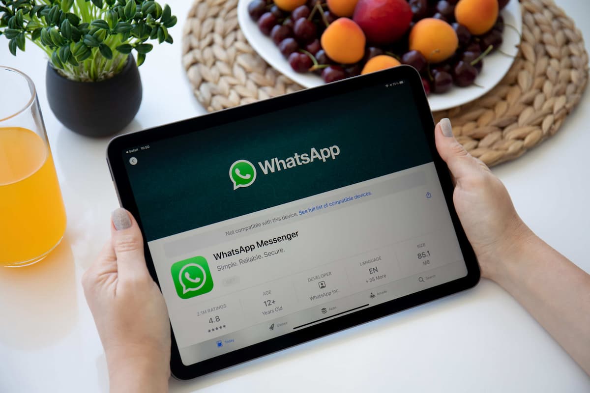 WhatsApp confirma vontade de criar uma app para iPad