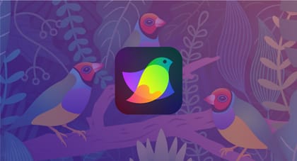 Amadine: O Paraíso do desenho vetorial