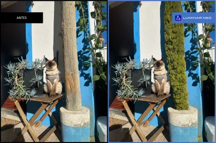 Luminar Neo disponibilizou ferramentas generativas (IA) para todos