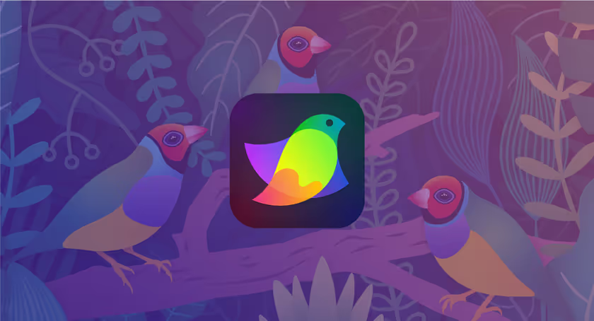 Amadine: O Paraíso do desenho vetorial