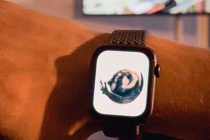 Queres o Guaxinim Pedro no teu Apple Watch? Sabe como aqui!
