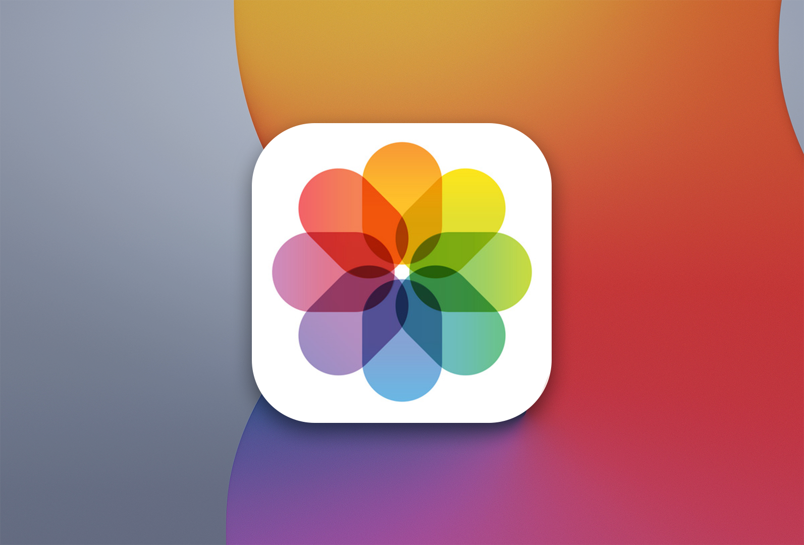 Dicas fundamentais sobre a aplicação “Fotografias” do iPhone