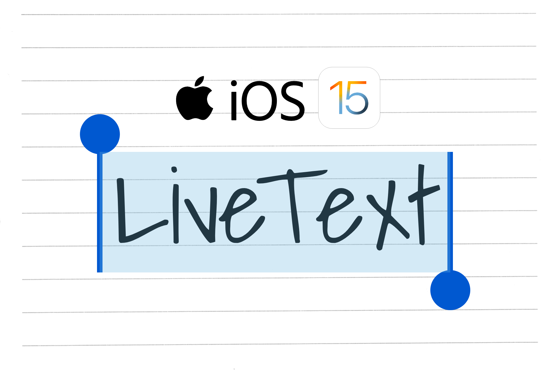 Como desativar o Live Text no iPhone e iPad